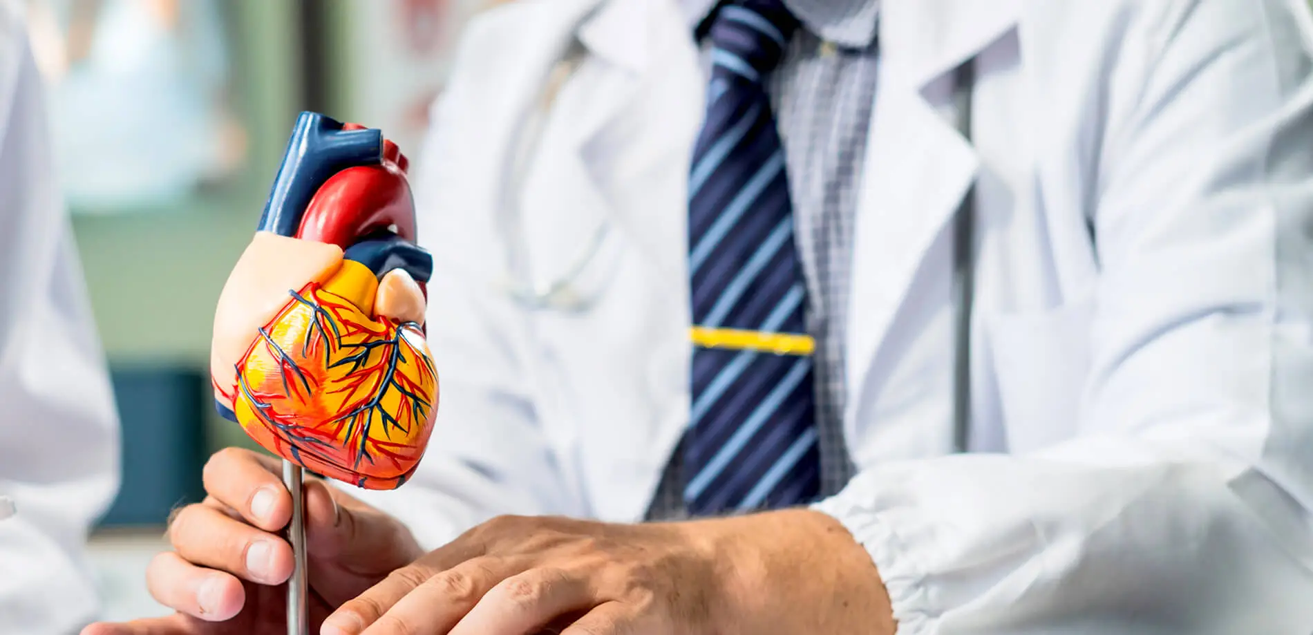 Cardiovascular