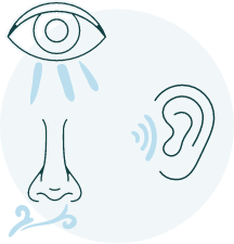 Eye/Ear/Nose