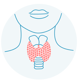 Underactive Thyroid Underactive Thyroid
